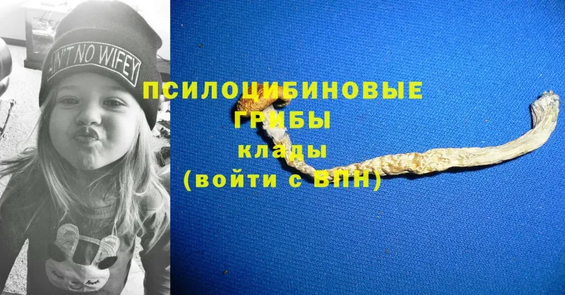 Псилоцибиновые грибы MAGIC MUSHROOMS  ОМГ ОМГ сайт  Шарыпово 